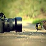 maxwedding studio Profile Picture