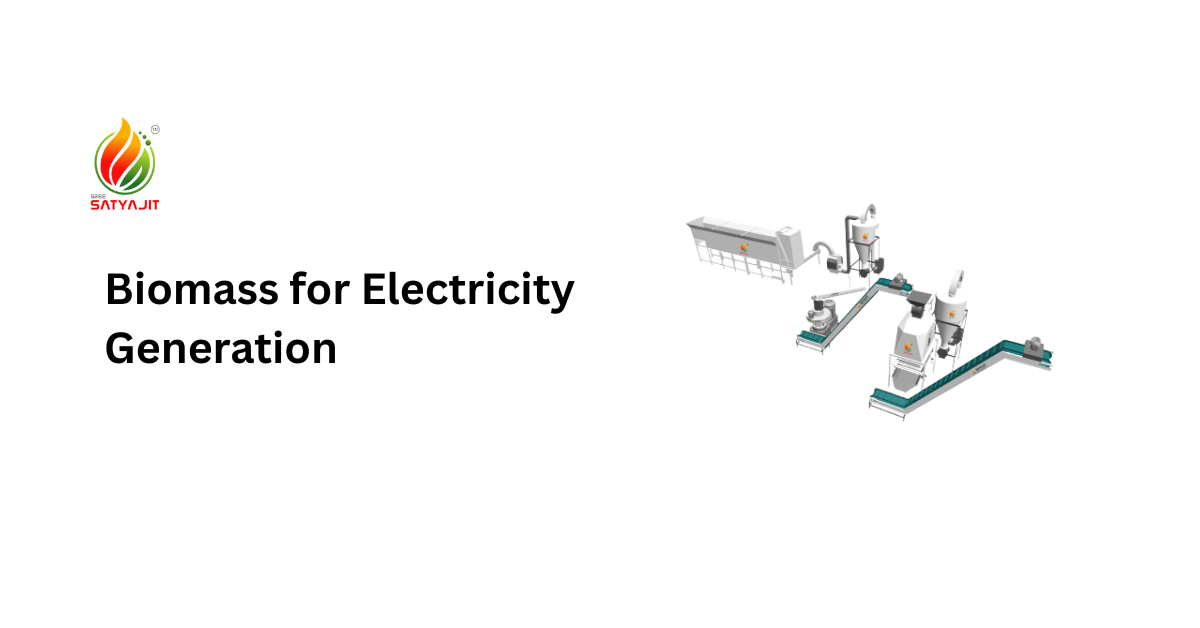 How Biomass Generates Clean and Renewable Electricity