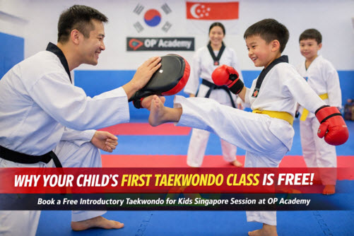 Why Your Child’s First Taekwondo Class is Free | Our Info.'s Blog