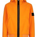 essential hoodie Profile Picture