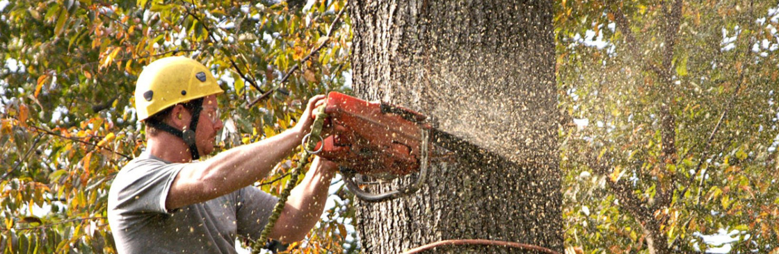 True Gen Tree Service LLC Cover Image