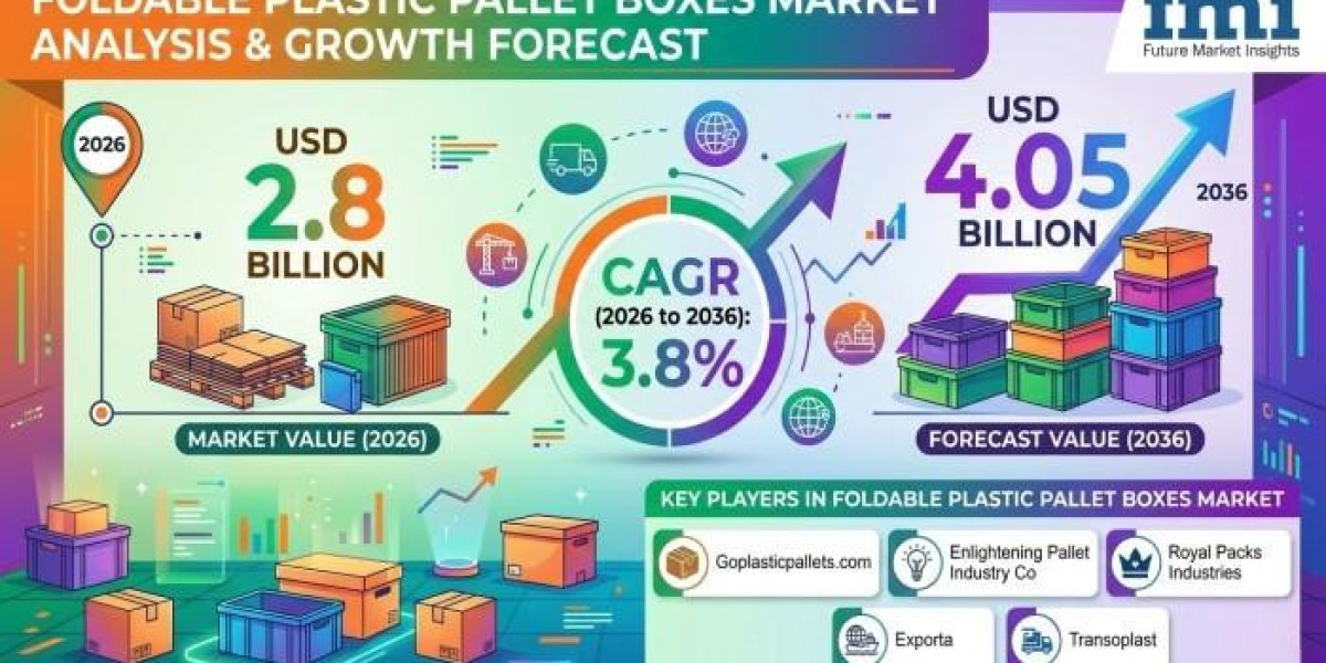 Foldable Plastic Pallet Boxes Market Experiences Growth Through Closed-Loop Logistics System Development Worldwide